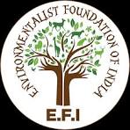 EFI LOGO