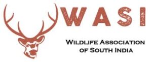 WASI logo