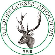 YPJK LOGO